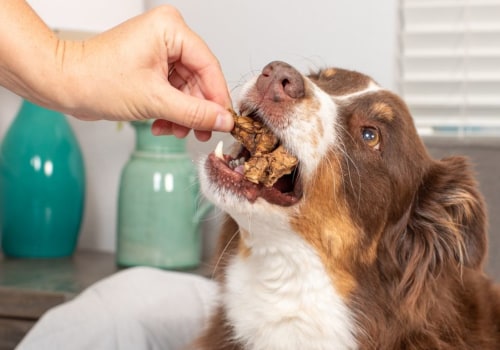 When should you give your dog a dental treatment?